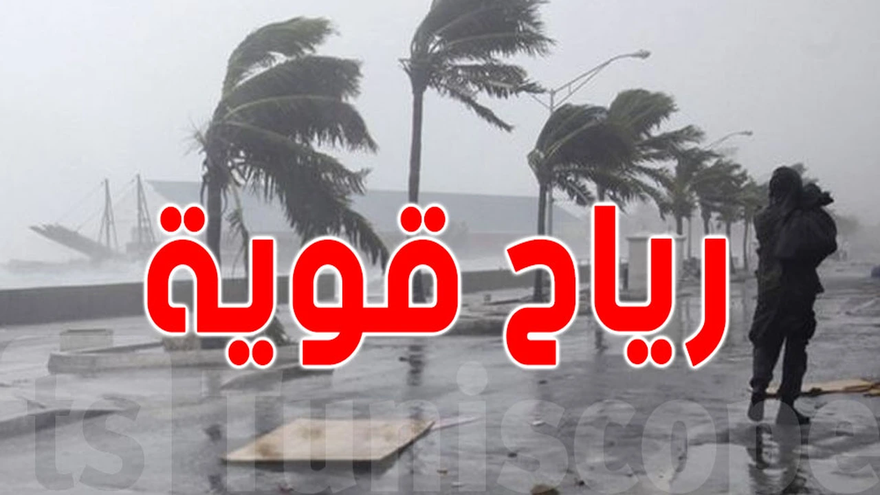 تحذير لـ 10 مدن.. موجة أمطار ورياح قوية تضرب الشمال والوسط الليلة